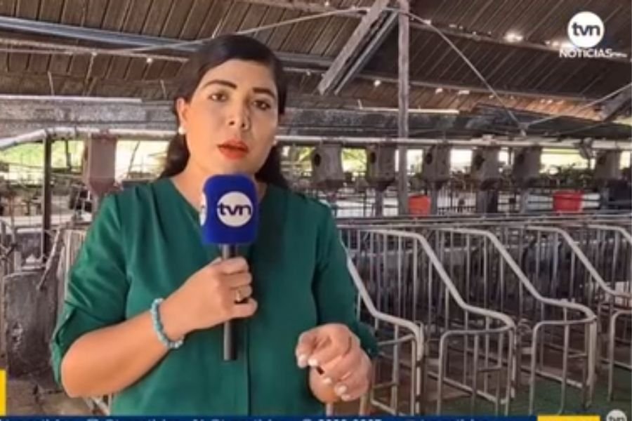 APUP, reacciona ante la importación del jamón Picnic. 2 jamón picnic