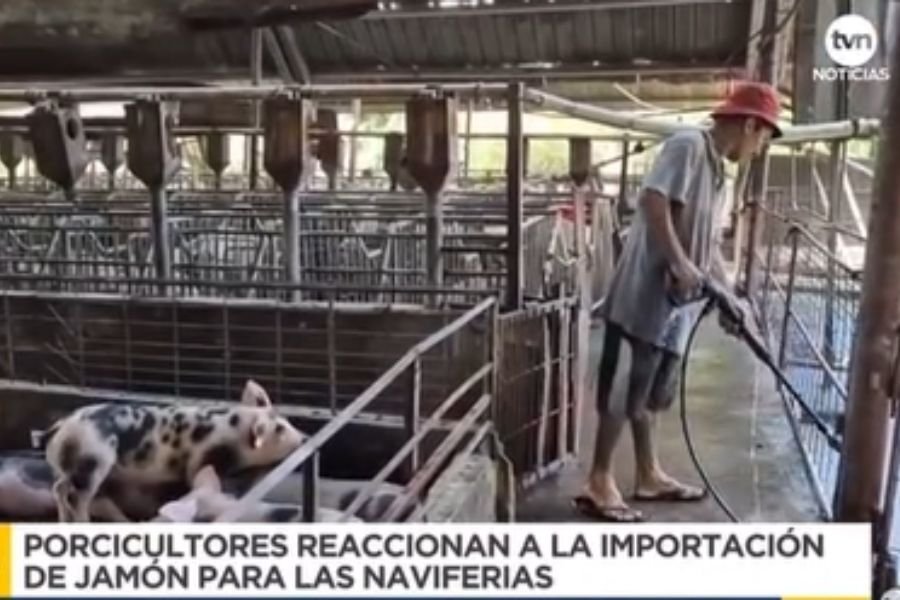 APUP, reacciona ante la importación del jamón Picnic. 3