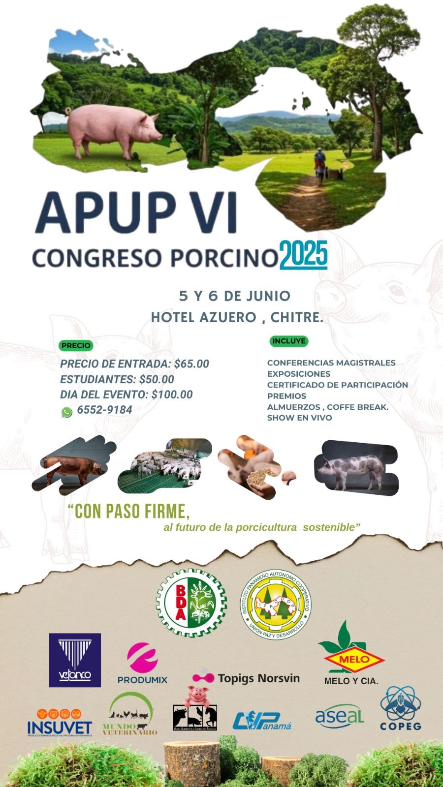 VI Congreso Porcino 2025 1 CONGRESO PORCINO 2025
