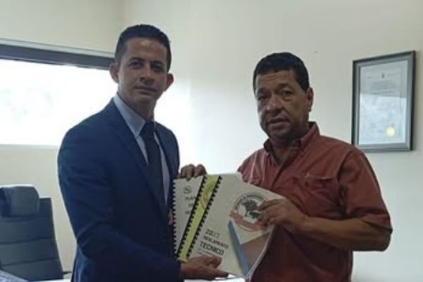 Servicios 4