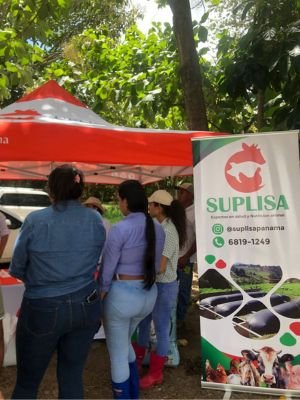 Inseminación Artificial en Cerdas APUP