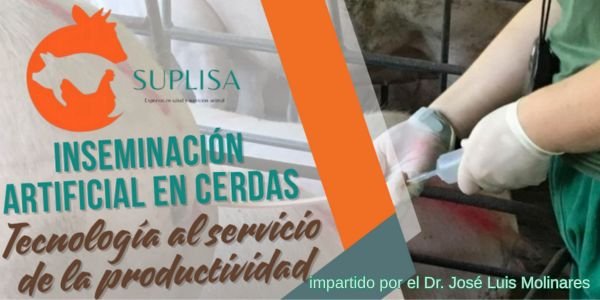 CURSO DE INSEMINACIÓN ARTIFICIAL EN CERDAS: UNA ESTRATEGIA QUE TRANSFORMA LA PRODUCCIÓN PORCINA 2