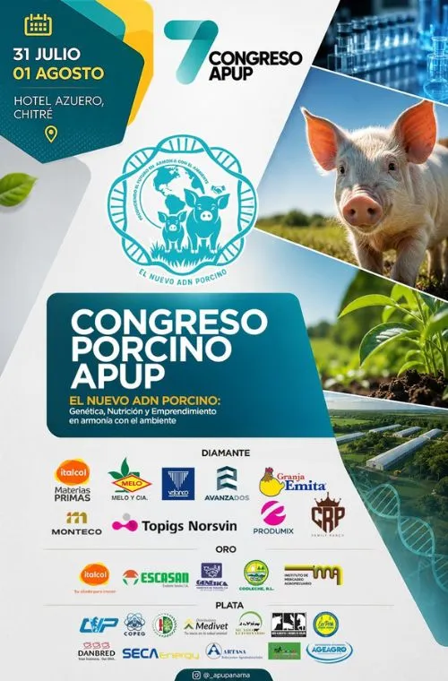 Inicio 11