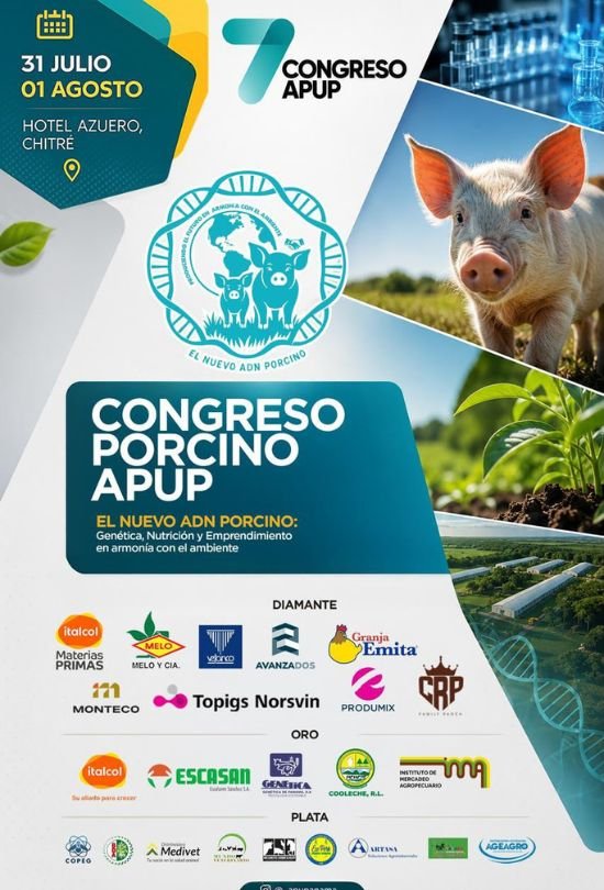 Inicio 11